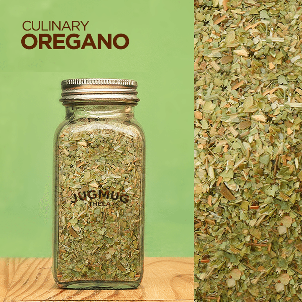 Culinary Oregano ~ Gourmet Herb for Seasoning & Garnish